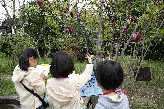 すみれば探検隊_b0049307_10465586.jpg