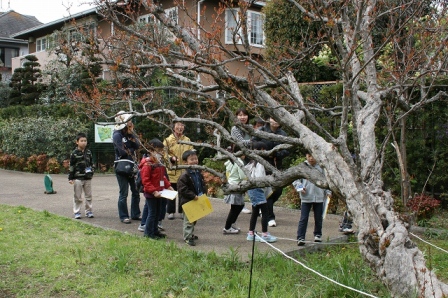 すみれば探検隊_b0049307_10592566.jpg