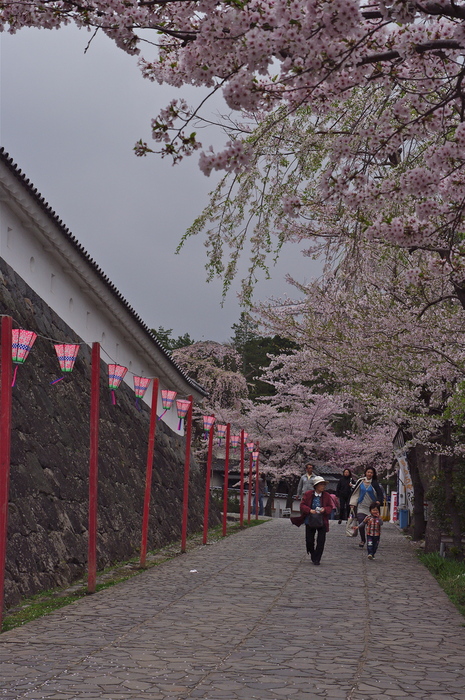 白石城の桜_b0190709_20564491.jpg