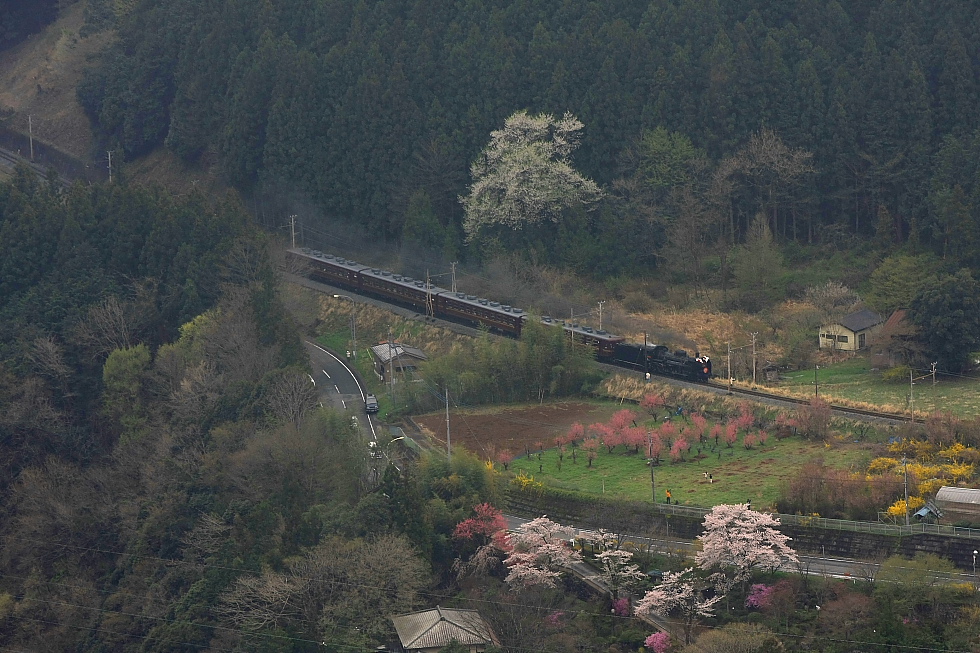 桜色と黄色と黒い機関車と赤い客車 - 2012年・秩父 -_b0190710_233254.jpg