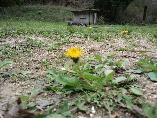 d0177810_11464124.jpg