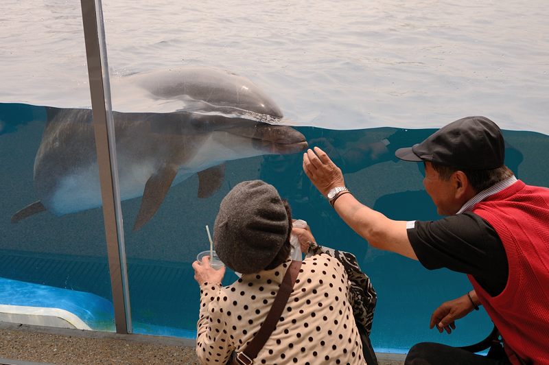 潜入！京都水族館　其の二_f0032011_20133355.jpg