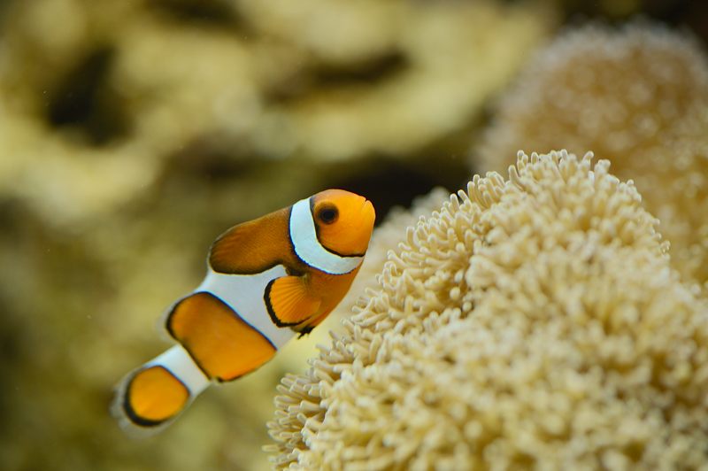 潜入！京都水族館　其の二_f0032011_20152887.jpg