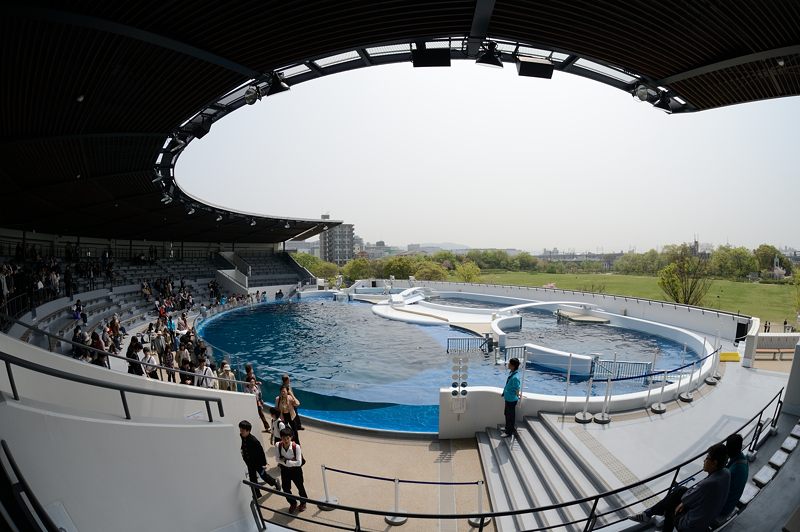 潜入！京都水族館　其の二_f0032011_2053145.jpg