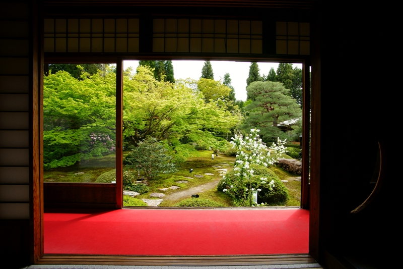 御寺泉涌寺別院雲龍院の海棠桜_e0177413_22204012.jpg