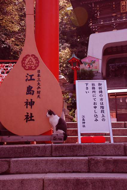 c0164514_947449.jpg