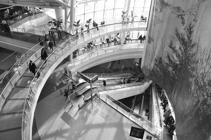d0065116_22235774.jpg
