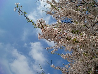 八ヶ岳ヒーリングツアー 第二弾 其の2_c0200917_157392.jpg