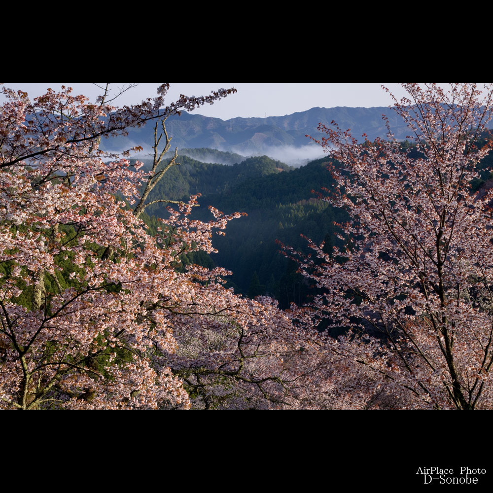f0086721_371566.jpg