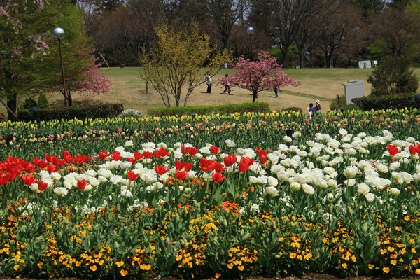 c0104227_2385259.jpg
