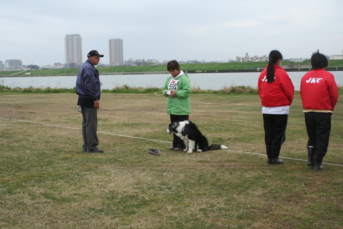 JKC臭気選別競技会_b0085331_1228289.jpg