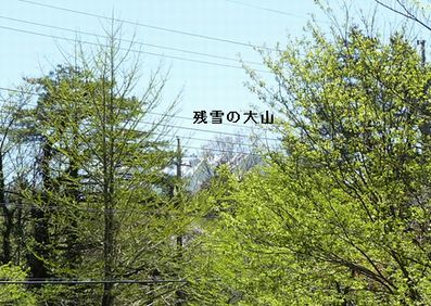 f0194533_1491493.jpg