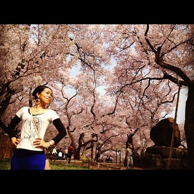 高遠 SAKURA_c0043737_14165564.jpg