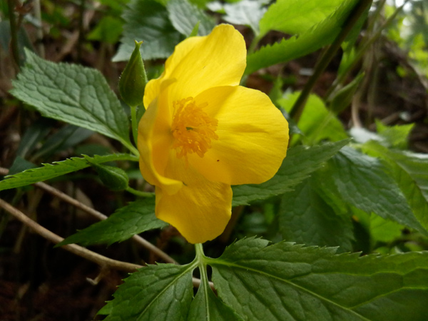 c0047341_7465934.jpg