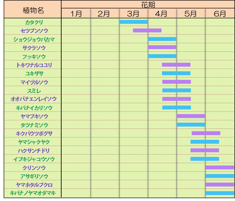 しなの風呂の庭 笑う：亀清旅館の家族風呂　7_b0133243_2202891.png