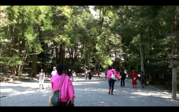 d0241643_167760.png
