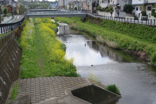 調布_e0226943_034774.jpg