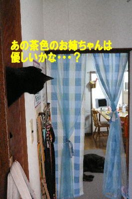 優しいかなぁ～？_d0013645_22113474.jpg