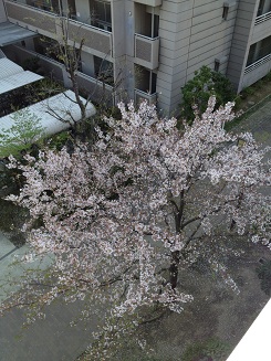 c0073649_095514.jpg