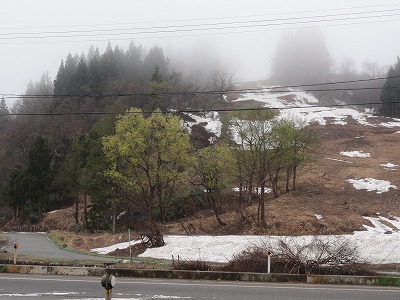 大雪が嘘のように雪が消えました_a0084753_11334868.jpg
