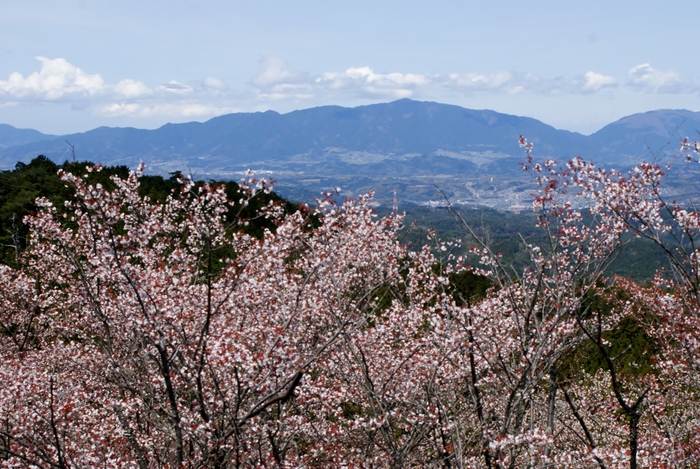 高城山展望台の眺め 奈良 吉野山 たんぶーらんの戯言