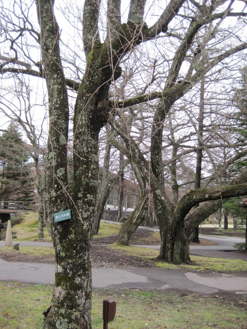 f0236260_1661431.jpg