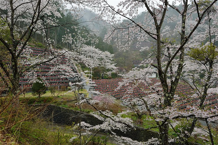 f0222161_12575574.jpg