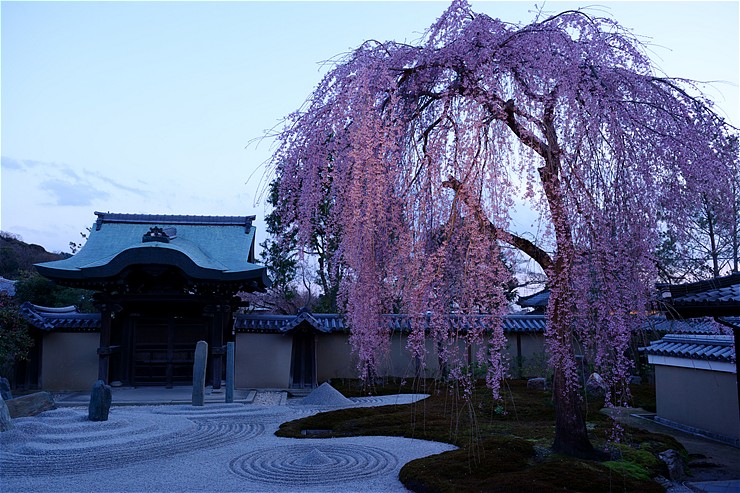 f0222161_1405836.jpg