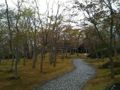 新緑_e0248573_940917.jpg