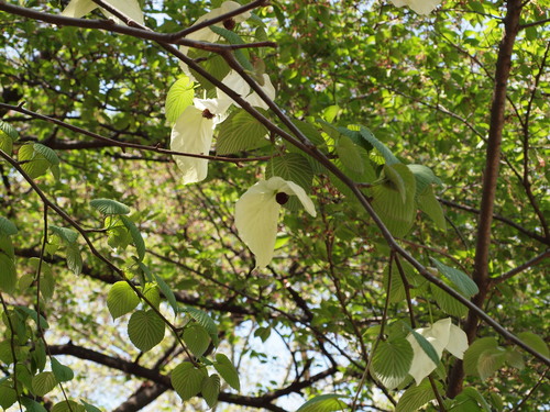 e0232277_1041491.jpg