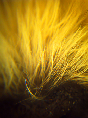 c0198981_23525958.jpg