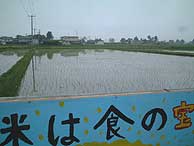 5月20日の田んぼ(上目黒小・枝野小)_d0247484_1925660.jpg