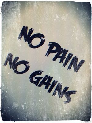 No Pain No Gain Zahra S Garden No Pain No Gain Zahra S Garden