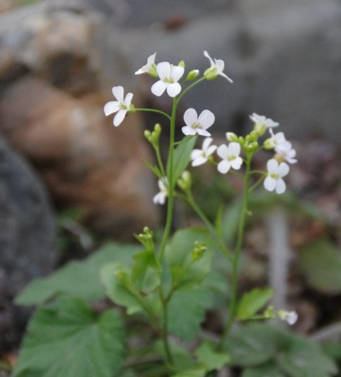 c0144185_22446.jpg