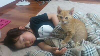 完成見学会 & にゃんこ_d0172085_1750898.jpg