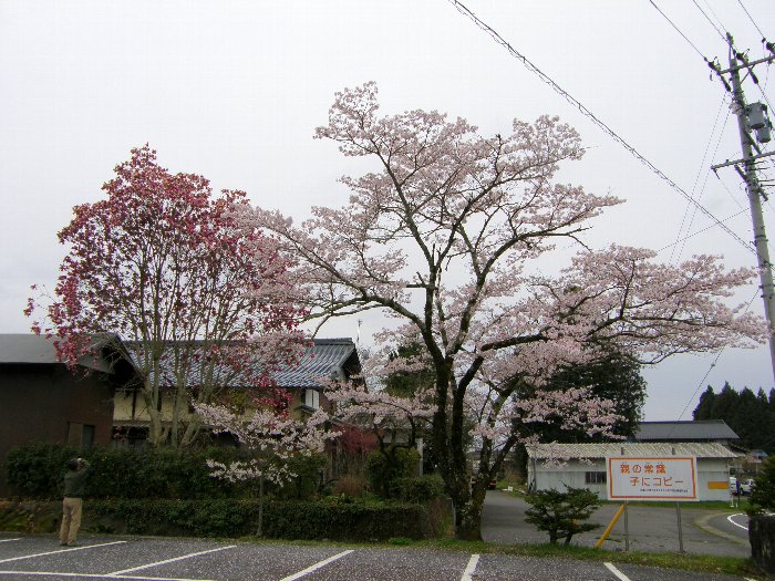 c0057390_2258402.jpg