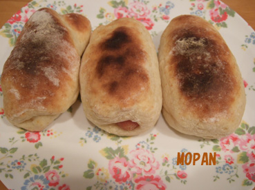 MOPAN_c0139591_255780.jpg