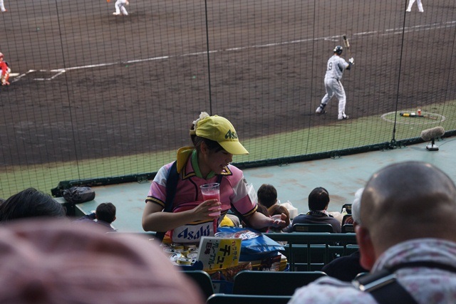 熱くなれ！！甲子園、われらがタイガース・・・・素敵な甲子園球場、頑張れタイガース_d0181492_1119845.jpg