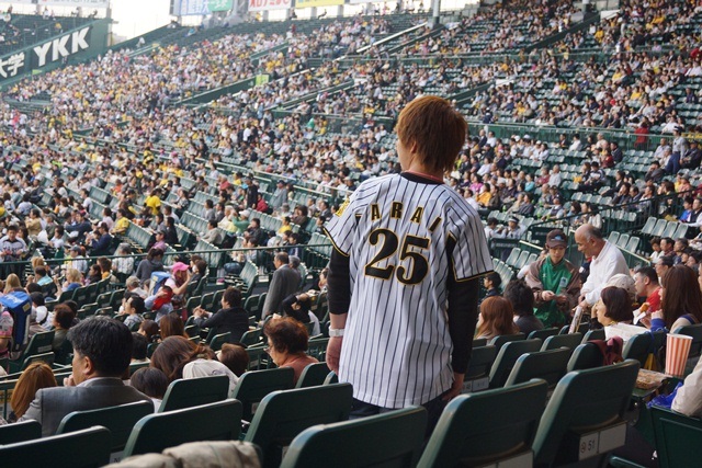 熱くなれ！！甲子園、われらがタイガース・・・・素敵な甲子園球場、頑張れタイガース_d0181492_1151386.jpg