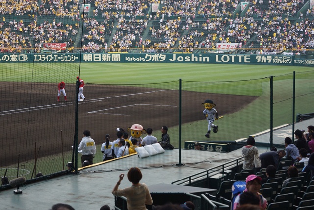 熱くなれ！！甲子園、われらがタイガース・・・・素敵な甲子園球場、頑張れタイガース_d0181492_12135134.jpg