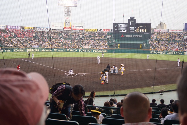 熱くなれ！！甲子園、われらがタイガース・・・・素敵な甲子園球場、頑張れタイガース_d0181492_8702.jpg