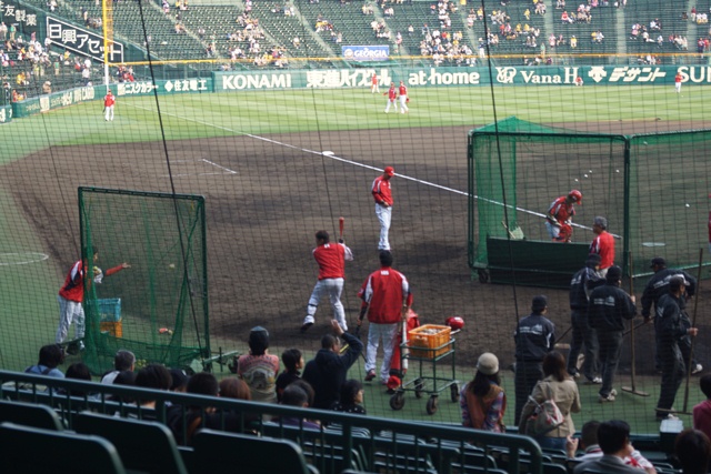 熱くなれ！！甲子園、われらがタイガース・・・・素敵な甲子園球場、頑張れタイガース_d0181492_874348.jpg