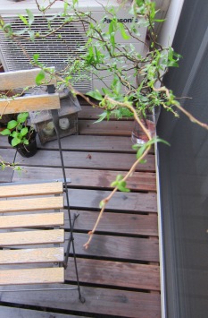 遠足♪_d0249193_830192.jpg