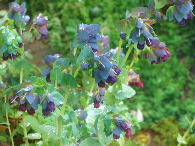 c0105295_1230049.jpg