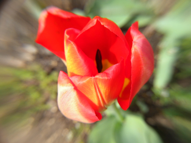 a0199297_02879.jpg