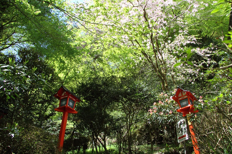 b0223198_21102876.jpg