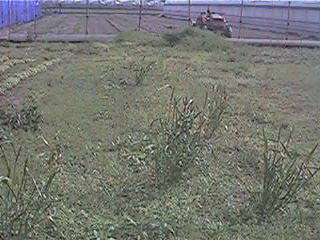 f0151099_30156.jpg