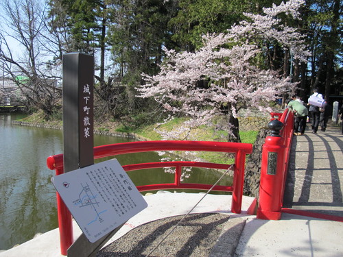 春爛漫・２０１２．４．２８・・・松が岬公園の桜・・・１２_c0075701_2173994.jpg