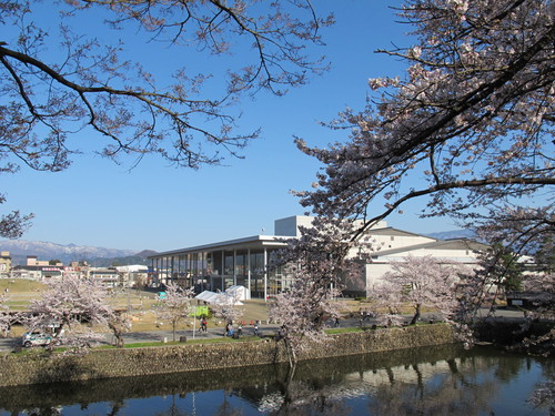 春爛漫・２０１２．４．２８・・・松が岬公園の桜・・・２０_c0075701_2218212.jpg