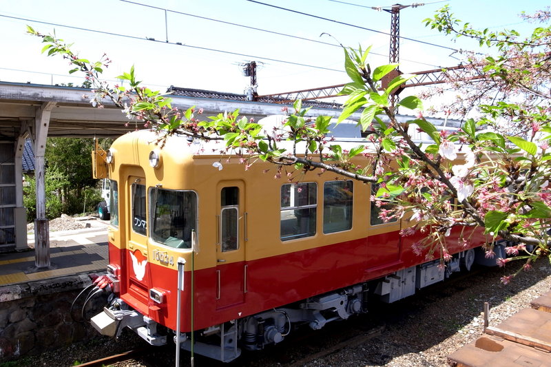 富山地方鉄道で復活、お京阪。_d0200402_1758344.jpg